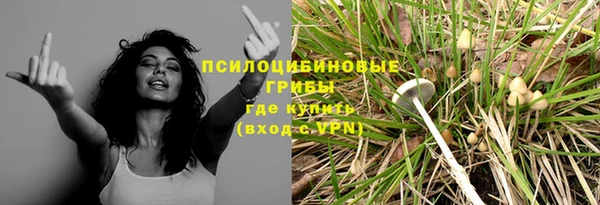 не бодяженный Армянск