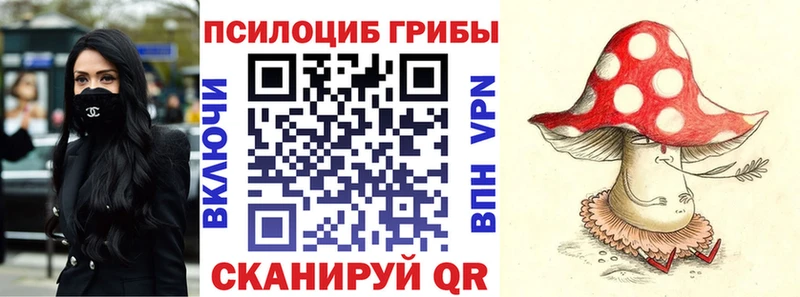 Галлюциногенные грибы прущие грибы  наркота  Свободный 